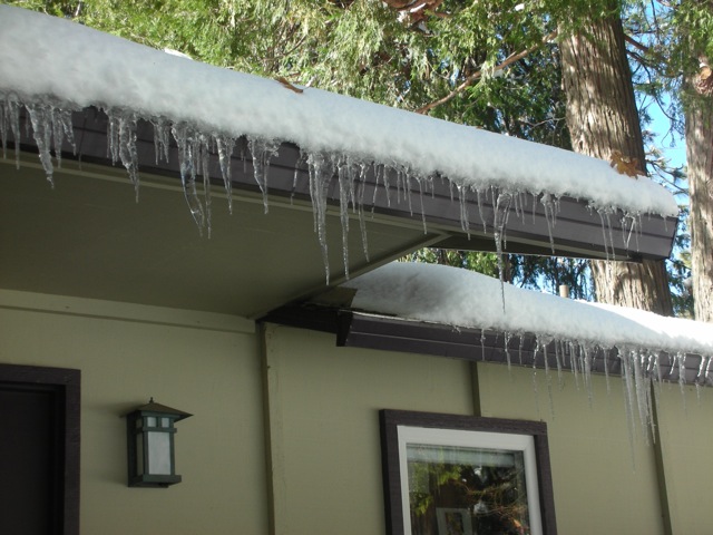 icicles